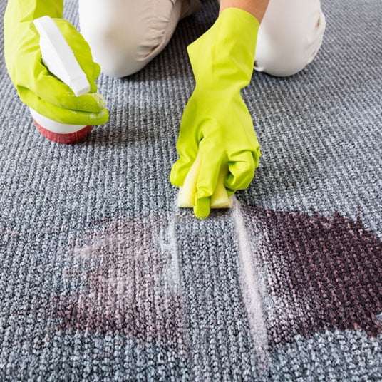 Carpet Cleaners Islington
